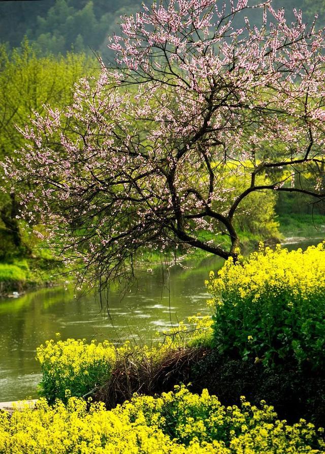构建高效 Agent：从提示词工程到上下文工程